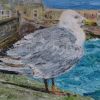 Seagull_IV Cornwall